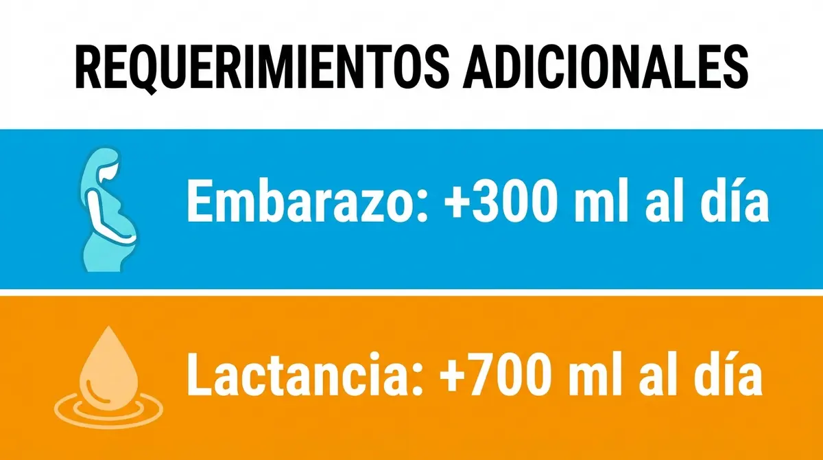 Infografía de requerimientos hídricos adicionales recomendados para el embarazo y la lactancia.